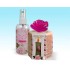 SPA SET - UTRO